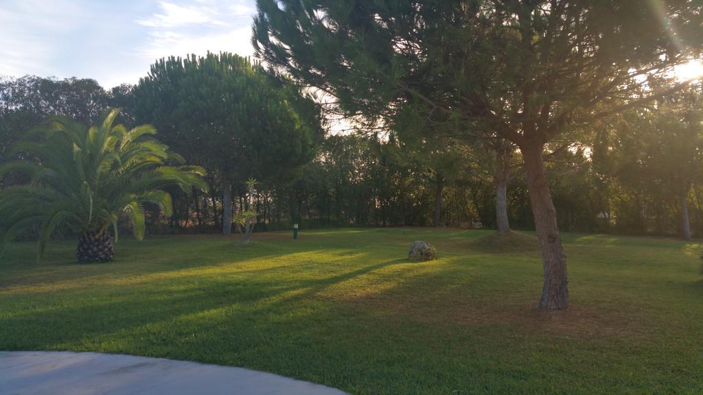 Apartamentos Clube Da Bemposta Alvor Cameră foto